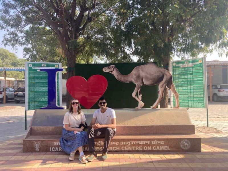 Rajasthan Tour 7 Nights 8 Days - Day-by-Day Breakdown: What You’ll Experience