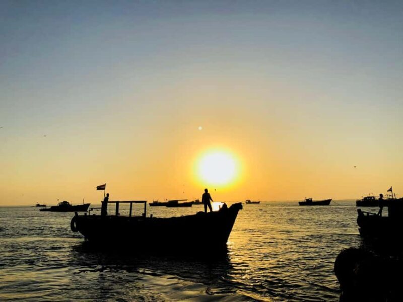 Rajkot: 4-Day Dwarka and Somnath Temple Tour - Who is This Tour Best For?