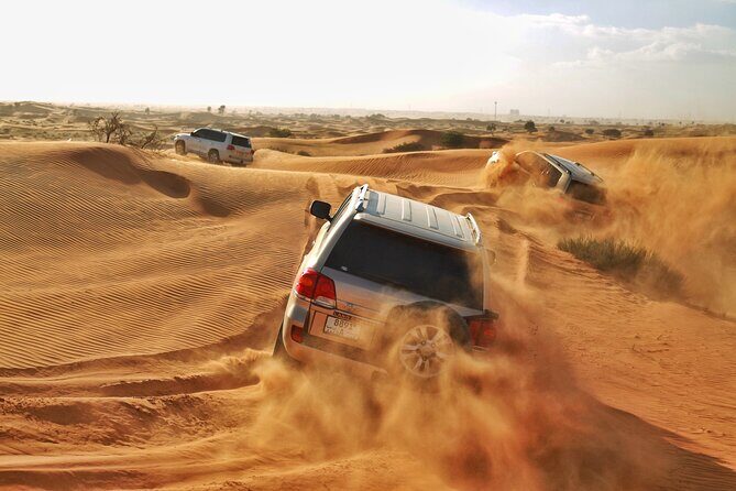 RAK Desert Safari and BBQ Dinner with RAK pick up - Experience the RAK Desert Safari and BBQ Dinner: A Practical and Authentic Review