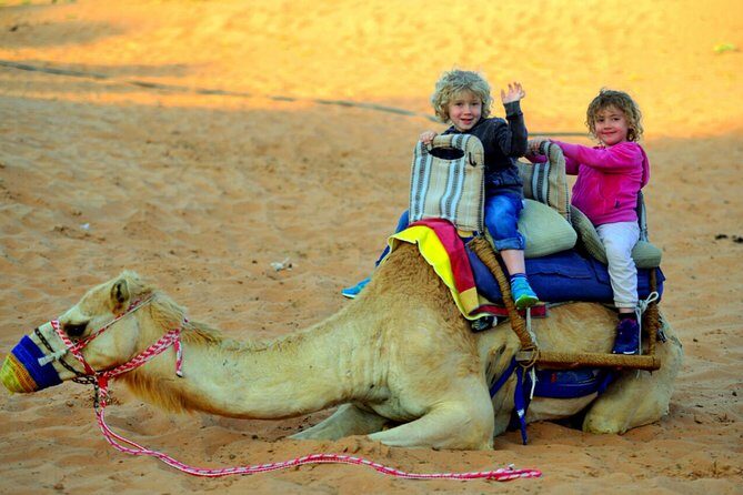 RAK Dinner In the Desert with RAK Transfer - Final Thoughts