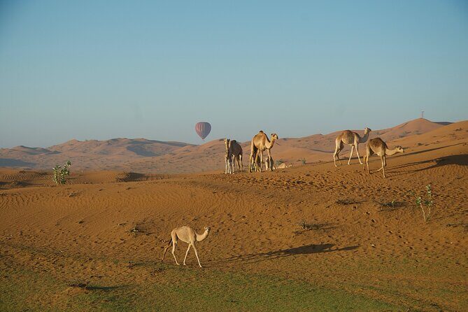 RAK Hot Air Balloon Flight - The Experience: What to Expect from Start to Finish