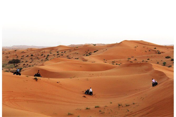RAK Quad Bike Tour with Return Transfer - Overall Value and Who It’s Best For