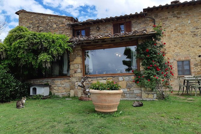 ramble-through-the-rolling-hills-of-chianti-with-lunch-wine-tastings
