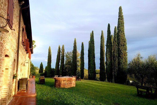 ramble-through-the-rolling-hills-of-chianti-with-lunch-wine-tastings