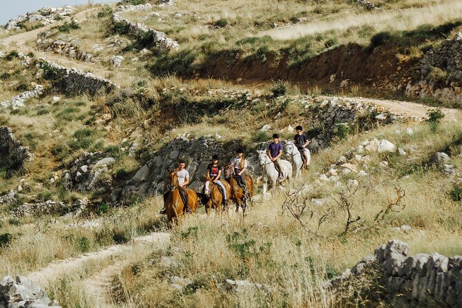 Ranch 22 Podstrana, " Horse riding 12 km from SPLIT " - Who Will Love This Experience?