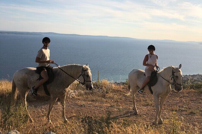 Ranch 22 Podstrana, " Horse riding 12 km from SPLIT " - Final Thoughts: Who Is It Best For?