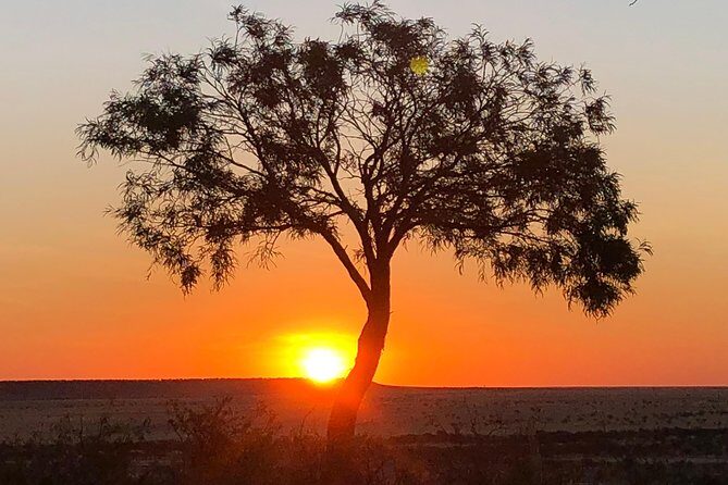 Rangelands Rifts and Sunset Tour - Who Should Consider This Tour?