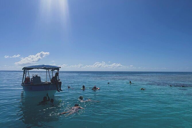 Rangiroa Snorkeling and Dolphin Cruise - What to Expect from the Rangiroa Snorkeling and Dolphin Cruise
