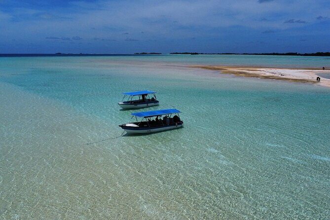 Rangiroa Snorkeling and Dolphin Cruise - Final Thoughts