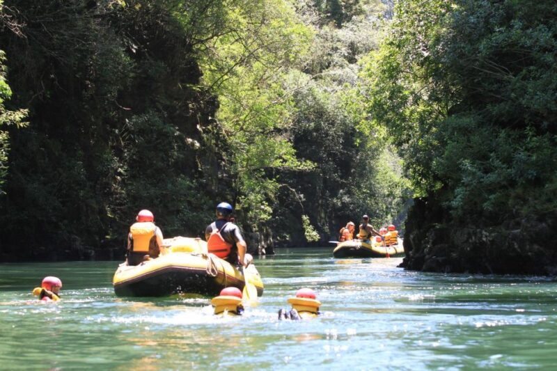 Rangitaiki Rafting Grade 2 - Authentic Insights from Reviewers