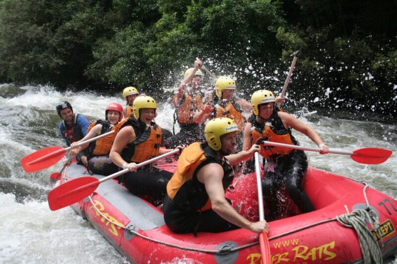 Rangitaiki Rafting Grade 3-4 - Why Rangitaiki Rafting Stands Out