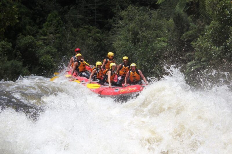 Rangitaiki Rafting Grade 3-4 - The Scenic Highlights
