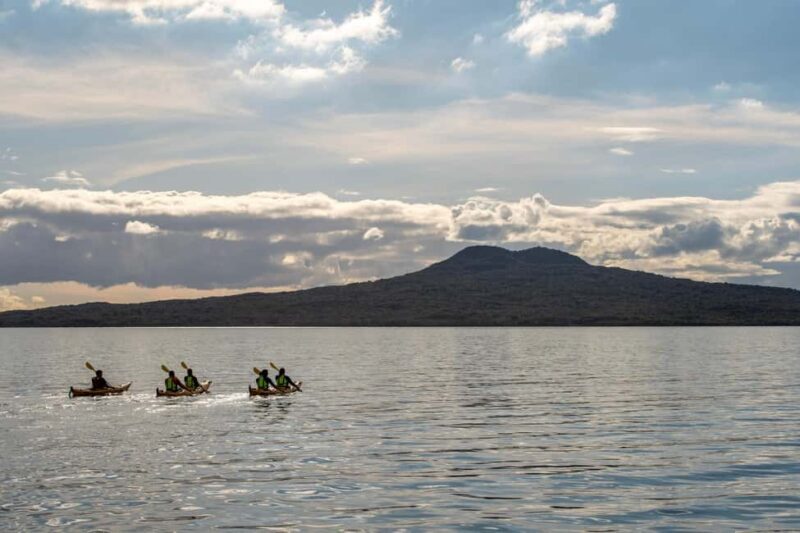 Rangitoto Island: Sea Kayak & Summit Hike Day Trip - Practical Considerations & Tips