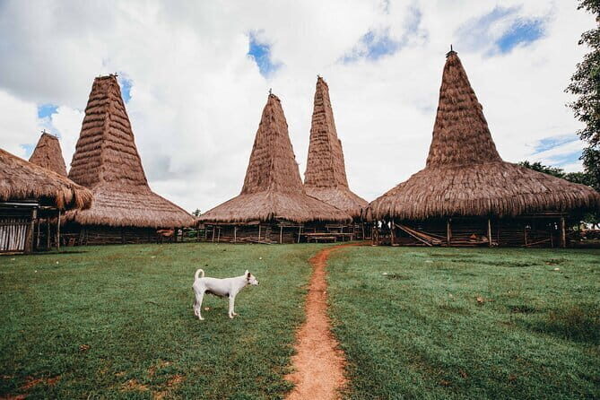 Rangko Cave And Sand Island Labuan Bajo - FAQ