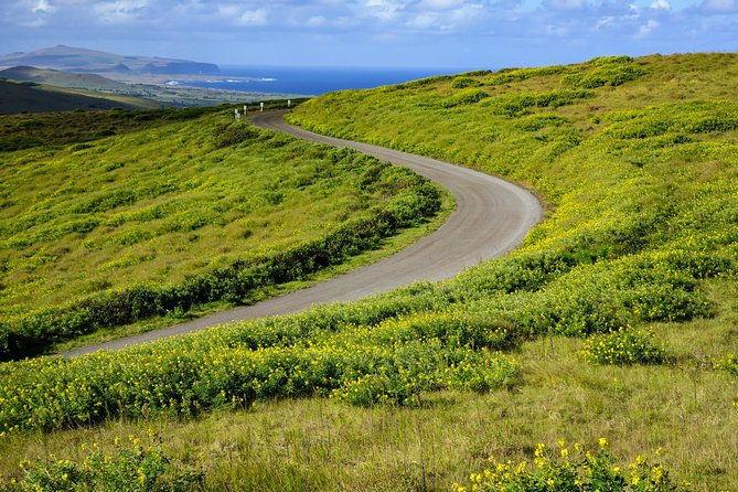 rano-kau-and-orongo-half-day-private-tour