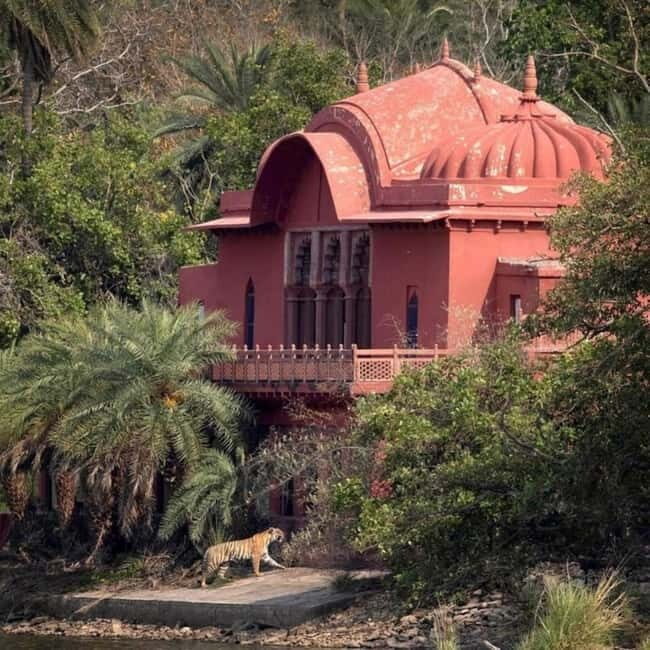 Ranthambhore: Ranthambhore Tiger Reserve Booking - Real Experiences & What Travelers Say