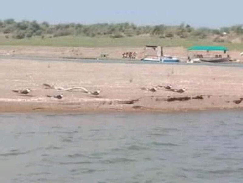 Ranthambore Gharial Sanctuary and Chambal Safari by boats. - The Itinerary: What a Typical Day Looks Like