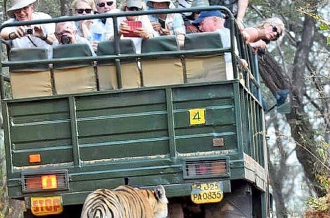 Ranthambore National Park 20 Seater Canter Safari Booking - Exploring the Ranthambore Safari Experience
