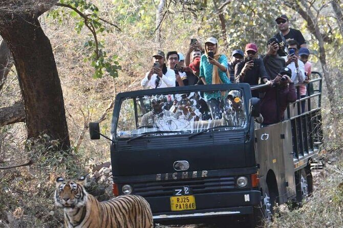Ranthambore National Park 20 Seater Canter Safari Booking - Practical Tips for Your Safari