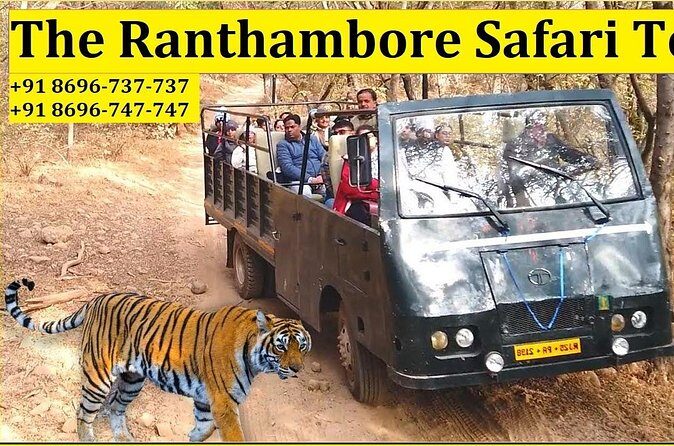 Ranthambore National Park 20 Seater Canter Safari Booking - Final Thoughts