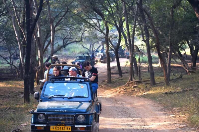 Ranthambore National Park: Canter Safari Ticket with Pickup - Discovering Ranthambore: A Closer Look at the Safari Experience