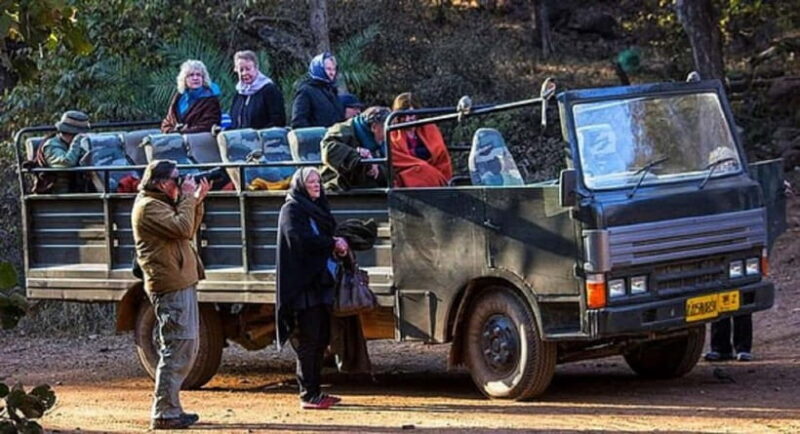 Ranthambore National Park: Jeep or Canter Safari - The Sum Up