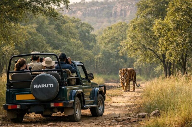 Ranthambore National Park Jeep Safari with & Expert Guide - Key Points