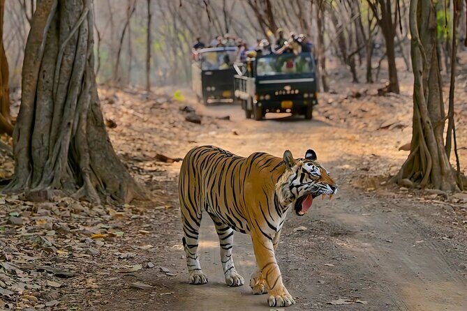Ranthambore National Park Private Jeep Safari All inclusive - Additional Resources