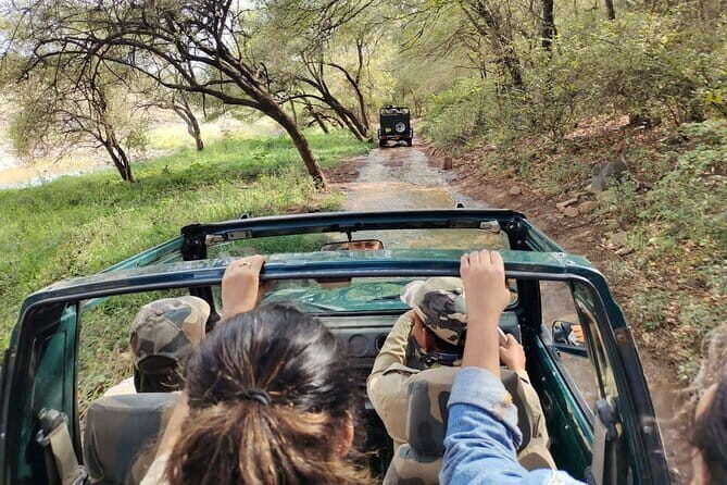 Ranthambore national park Safari Booking  Jeep & Canter Tours - FAQs