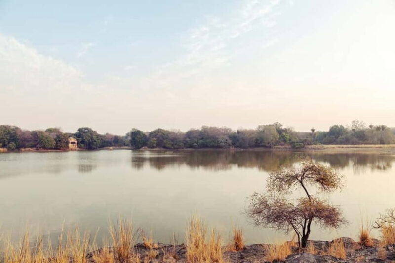 Ranthambore National Park: Safari Ticket with Pickup Option - Who Should Consider This Tour?