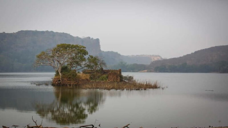 Ranthambore: Shared Tiger Safari in Canter or Gypsy - The Value of This Experience