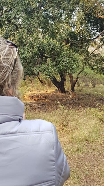 Ranthambore: Shared Tiger Safari in Canter or Gypsy - Final Thoughts