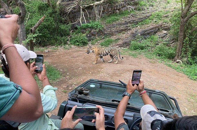 Ranthambore Tiger Reserve Private Gypsy Safari All inclusive - FAQ