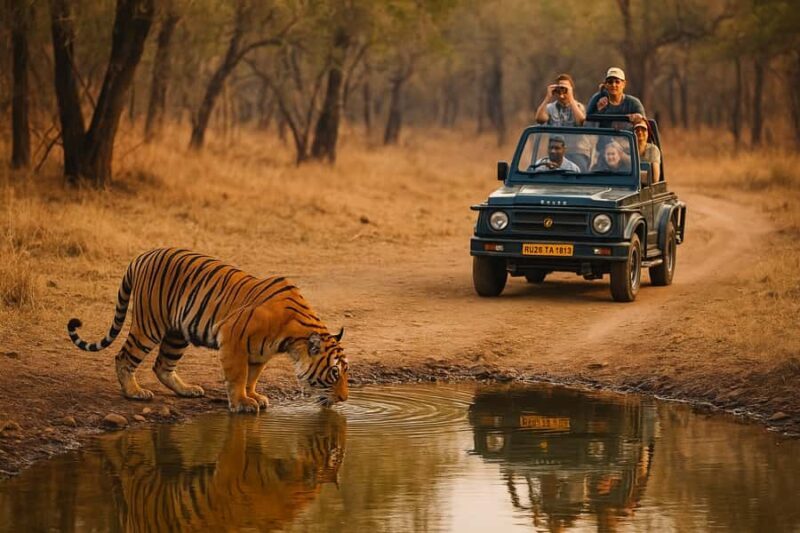 Ranthambore Tiger Safari in Open canter with Wildlife Guide - Engaging Introduction