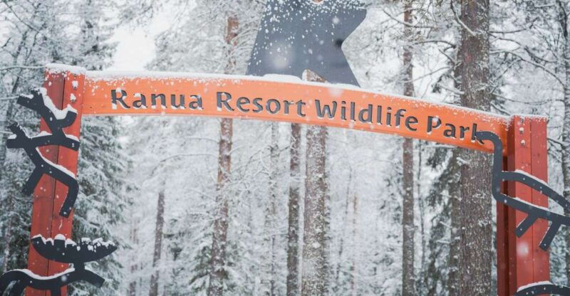 ranua-wildlife-park-day-visit-the-arctic-animals-2