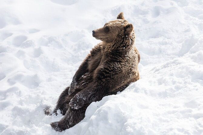 ranua-zoo-family-tour-from-rovaniemi-2