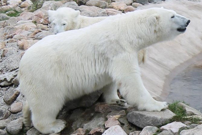 ranua-zoo-family-tour-from-rovaniemi-2