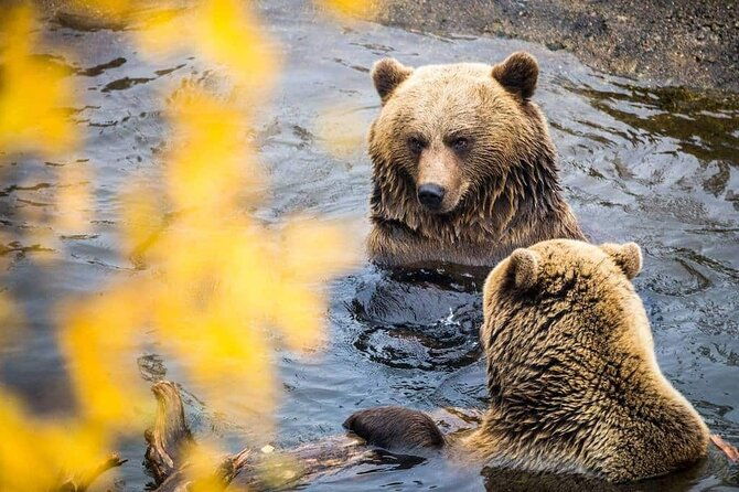 ranua-zoo-guided-day-tour-from-rovaniemi