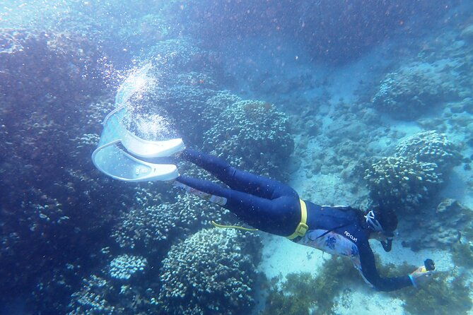 rapa-nui-coral-reef-snorkeling