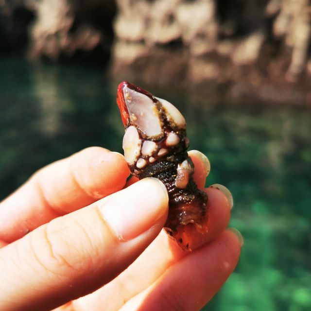 raposeira-guided-kayak-tour-and-ingrina-beach-caves