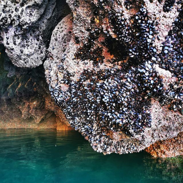 raposeira-guided-kayak-tour-and-ingrina-beach-caves
