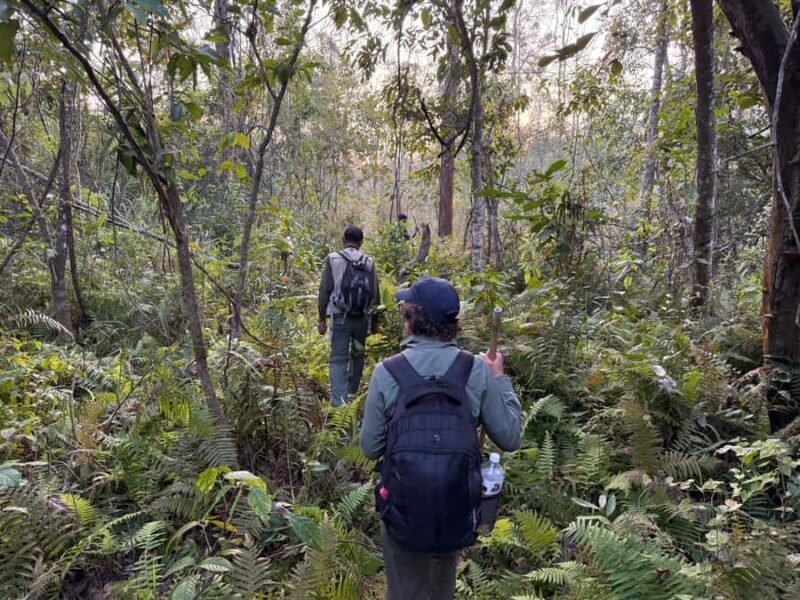 Rara: Adventure Jeep Tour to Rara Lake with Meals and Guide - Final Words