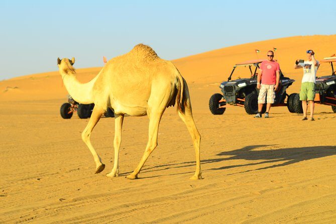 Ras Al Khaimah: Afternoon Desert Safari and BBQ Dinner - Final Words