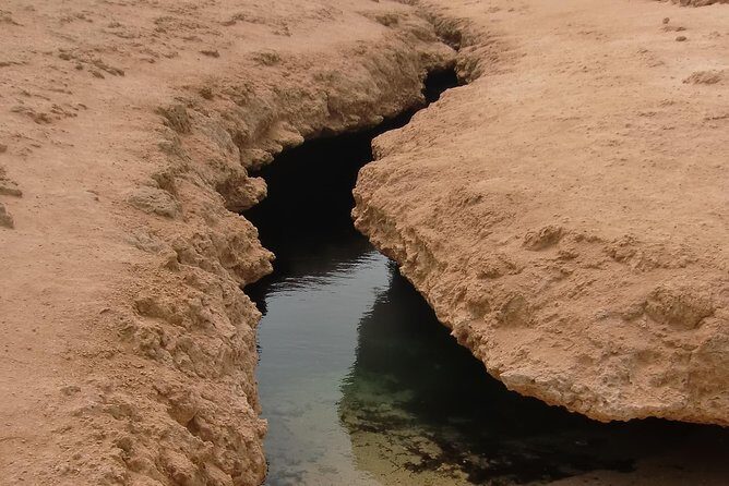 Ras Mohamed by Bus from Sharm elsheikh - Practical Tips for Making the Most of Your Trip