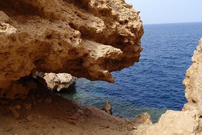 Ras Mohamed National Park by Bus Half Day - Sharm ElSheikh - FAQs