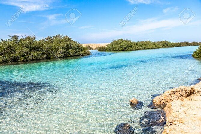 Ras Mohamed National Park Half Day by Bus - Sharm El Sheikh - Experience Quality and Value