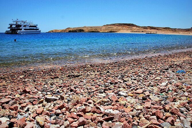 Ras Mohamed National Park Half Day Sea Trip by Bus- Sharm ElSheikh - Key Points