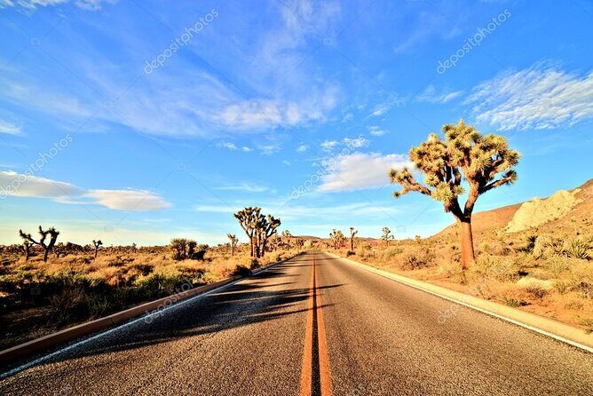 Ras Mohamed National Park Half Day Sea Trip by Bus- Sharm ElSheikh - Practical Tips for Travelers