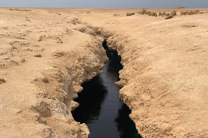 Ras Mohamed National Park Half Day Tour by Bus In Sharm El Sheikh - Highlights That Shine
