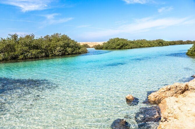Ras Mohamed National Park Half Day Tour by Bus In Sharm El Sheikh - What Could Be Better?